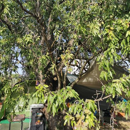 S&M Camping สเวติ ฟิลลิปปี ยาคอฟ ภายนอก รูปภาพ