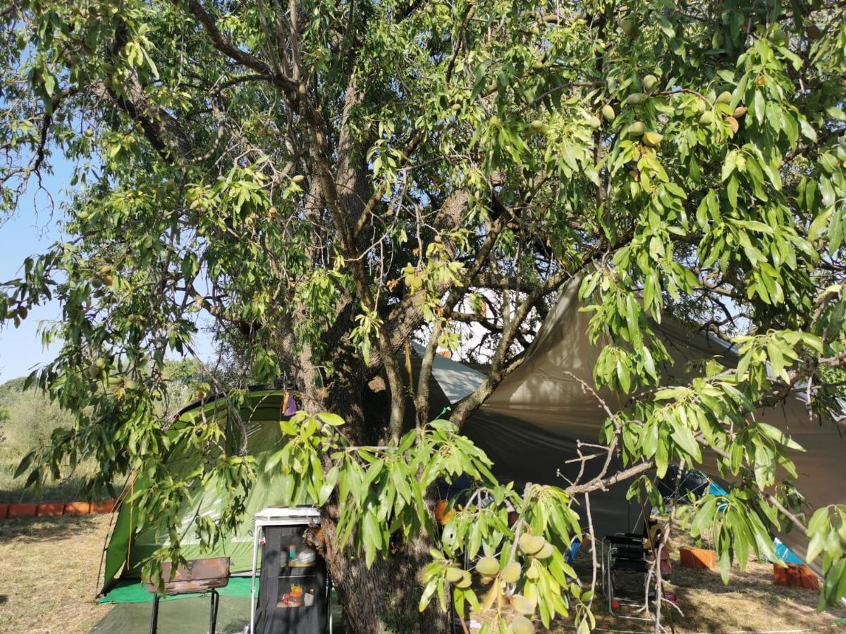 S&M Camping สเวติ ฟิลลิปปี ยาคอฟ ภายนอก รูปภาพ